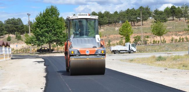 Mişmiş Park'ta Asfaltlama