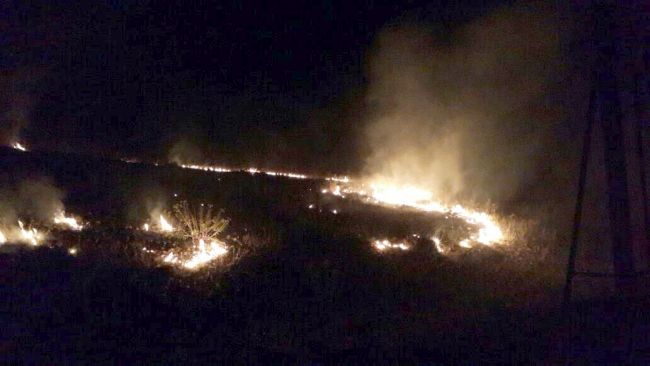 Çarmuzu'daki Yangın Korkuttu