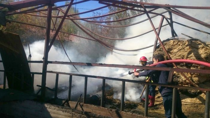 Besi Damında Çıkan Yangın Hasara Yolaçtı