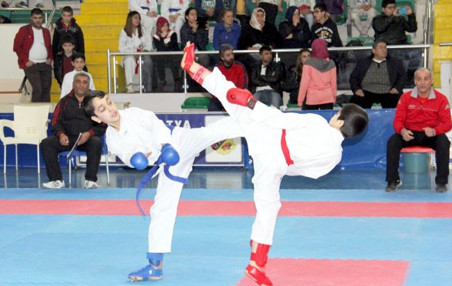 Analig Karate Yarı Finali