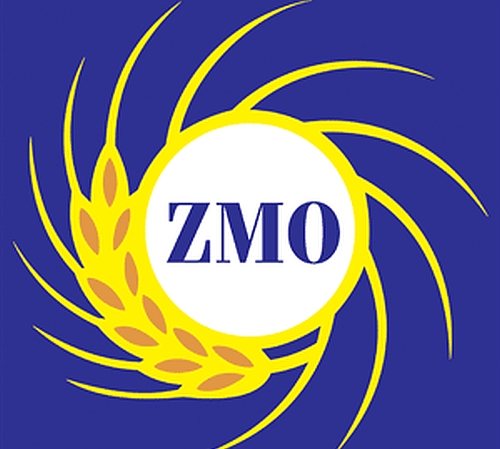 ZMO'da Seçim Heyecanı