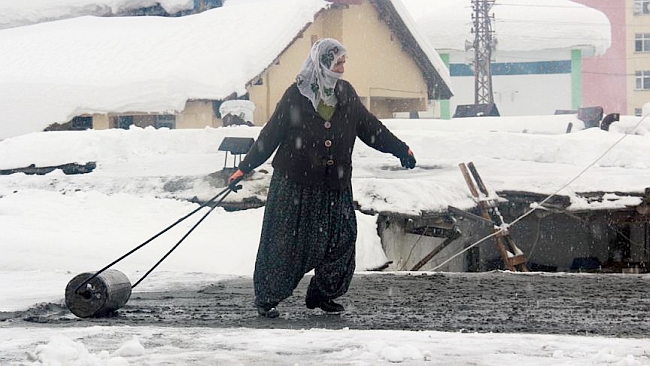 Evlerinin Damını Loğluyorlar