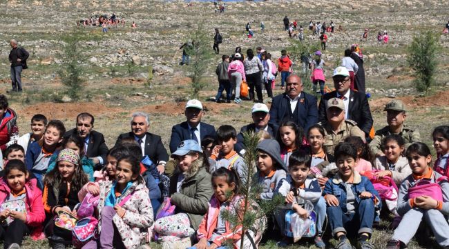 Orduzu Pınarbaşı'nda Fidan Dikimi