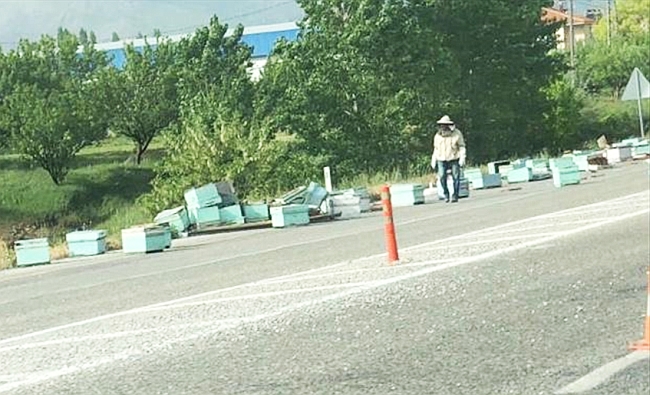 Arılı Kovan Yüklü Kamyonet Kaza Yaptı, 2 Kişi Yaralandı