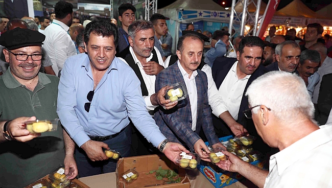 İstanbul'da Kayısı Festivali