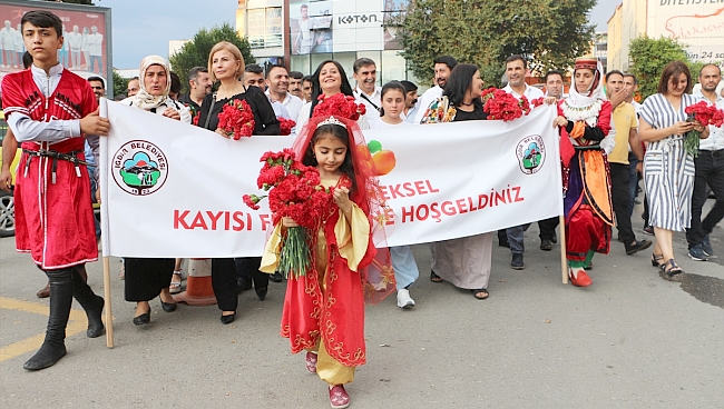 Iğdır'da Kayısı Festivali