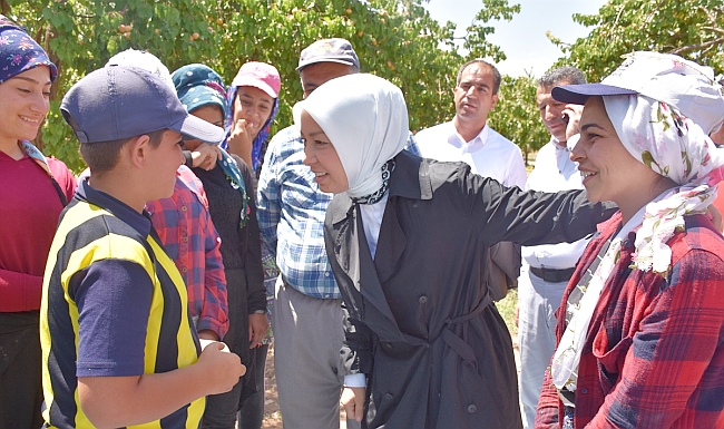 "Bakan Yasal Düzenleme İçin Talimat Verdi"