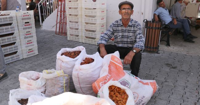 Yeni Mahsul Kuru Kayısı Pazarda