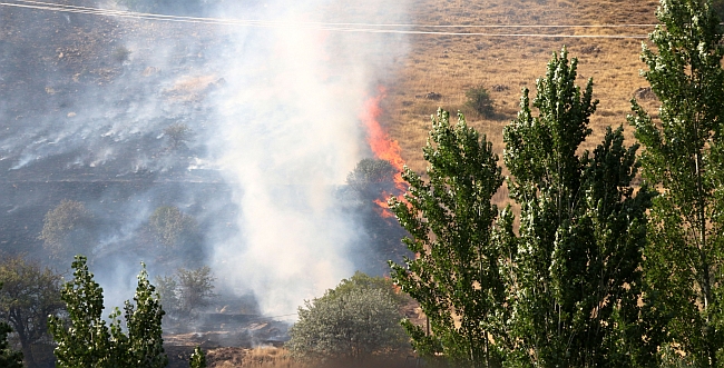 Yangında 50 Hektar Alan Etkilendi
