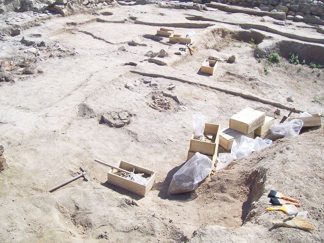 Arslantepe'de 5 Bin 700 Yıllık Çocuk İskeleti