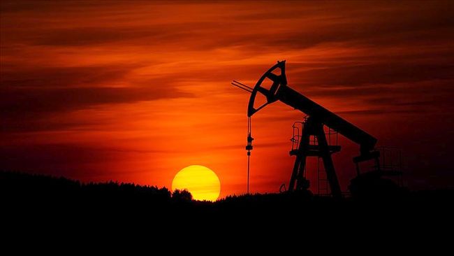 OPEC Petrol Kesintisinde Son Karara Vardı