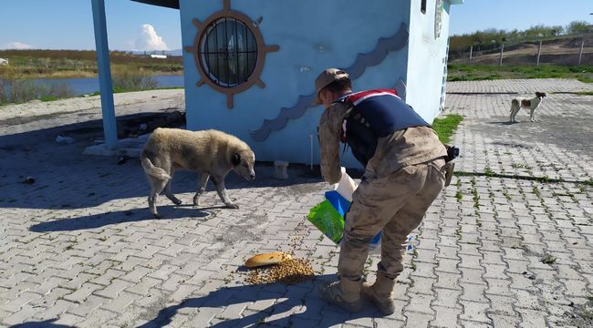 Hayvanları Jandarma Besledi