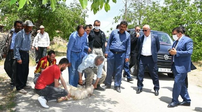 "Malatya'nın Her Noktasında Yoğun Çalışıyoruz"