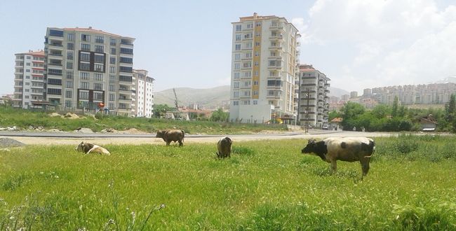 Çiftçi Proje Başvuruları Uzatıldı