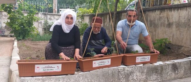 Sebzelerini Balkonda Kendileri Yetiştirecek