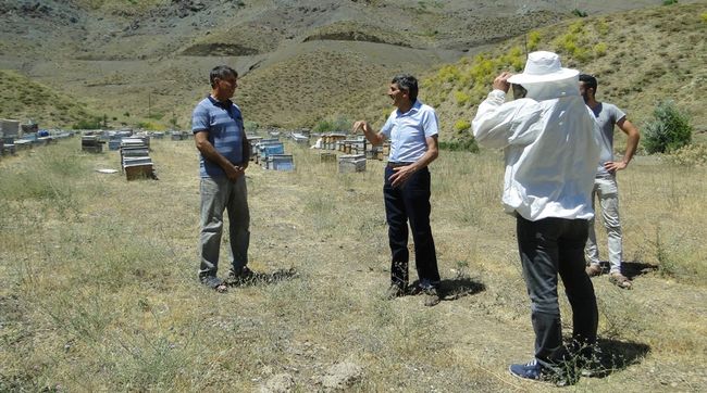 Gezginci Arıcılar Malatya Yaylalarında