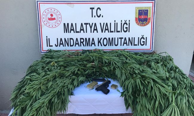 Polis ve Jandarmadan Uyuşturucu Operasyonları