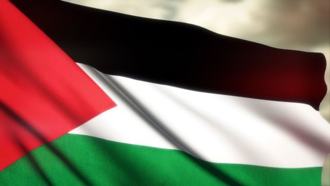 Filistin Bayrağı Asan İsrailli Asker Ordudan Atıldı