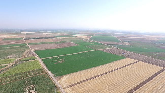 DSİ'den 60 Bin Hektar Arazide Toplulaştırma