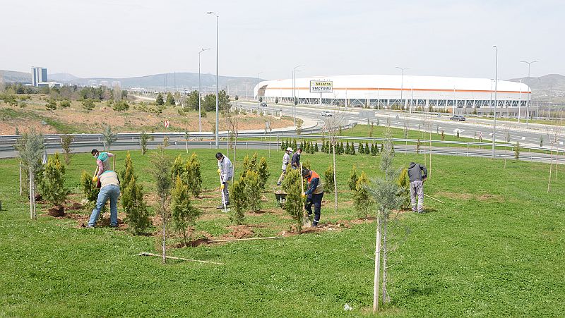 Park ve Refüjlerde Düzenleme Yapılıyor