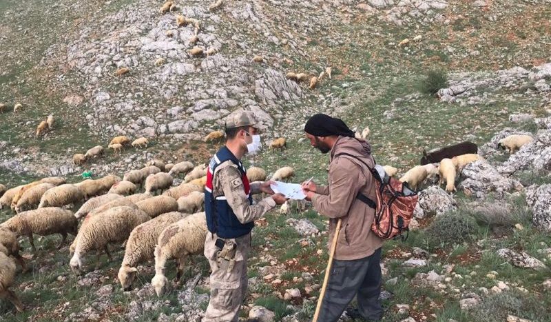 Jandarma, Bu Kez ‘Ödeme’ İçin Dağlarda..