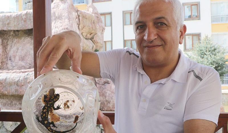 Site Bahçesinde Buldu, Doğaya Bıraktı