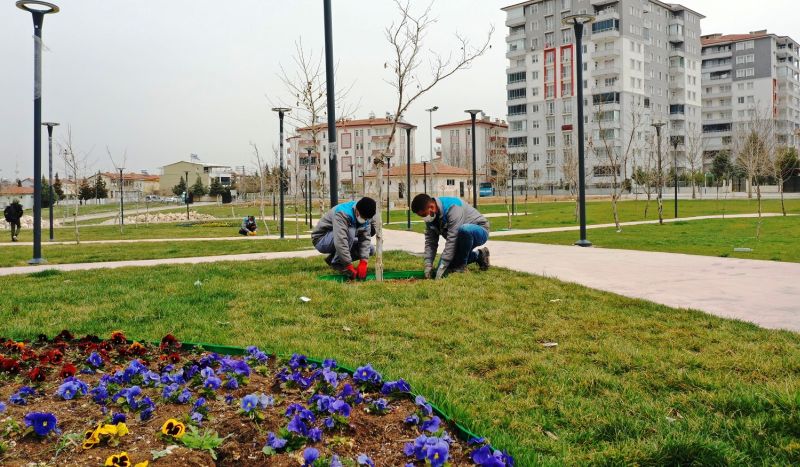 Yeşilyurt'ta Yeşillendirme Çalışmaları