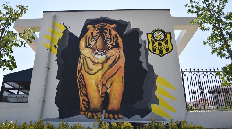 Malatya'da Duvarlara Grafiti Çalışması