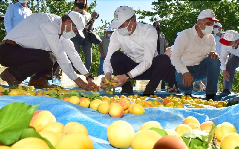 "Emeklerinin Karşılığını Almaları Bizi Sevindiriyor"