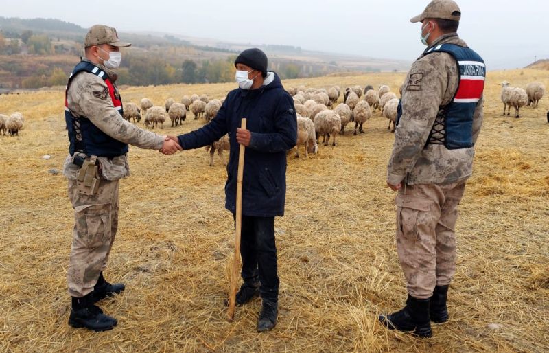 Koyunları Jandarma Drone İle Buldu