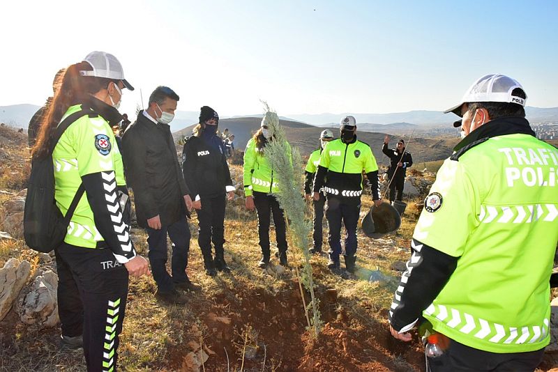 "Malatya'mızın Yeşilliği Bir Kat Daha Artacak"