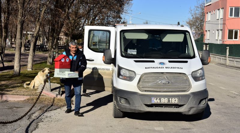 Sokak Hayvanları İçin 19 Beslenme Noktası