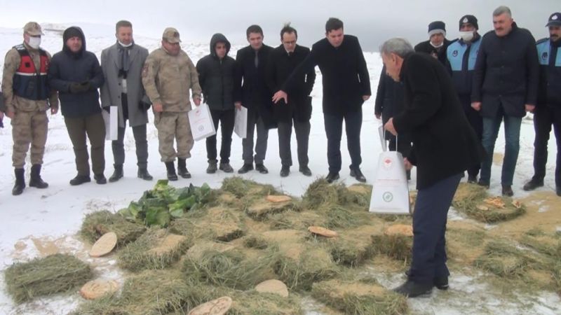 Pütürge'de Yaban Hayvanları İçin Doğaya Yem